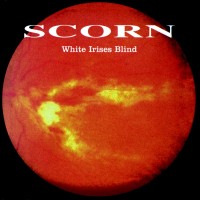 White Irises Blind