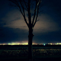 The Wounded - The Sky Is Yours The Wounded - The Sky Is Yours