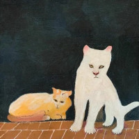 What Are You Waiting For