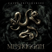 Meshuggah - Catch Thirtythree