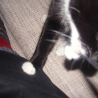 EP leftovers (Tomorrow's Lunch)