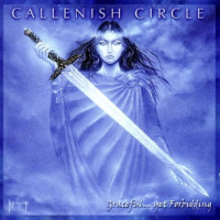 Callenish Circle - Graceful... yet Forbidding