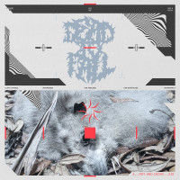 Dead to Fall - Rot & Decay