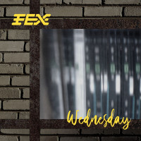 FEX - Wednesday