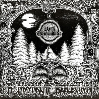 Dark Tranquillity - A Moonclad Reflection